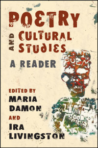 Cover for damon: Poetry and Cultural Studies: A Reader. Click for larger image