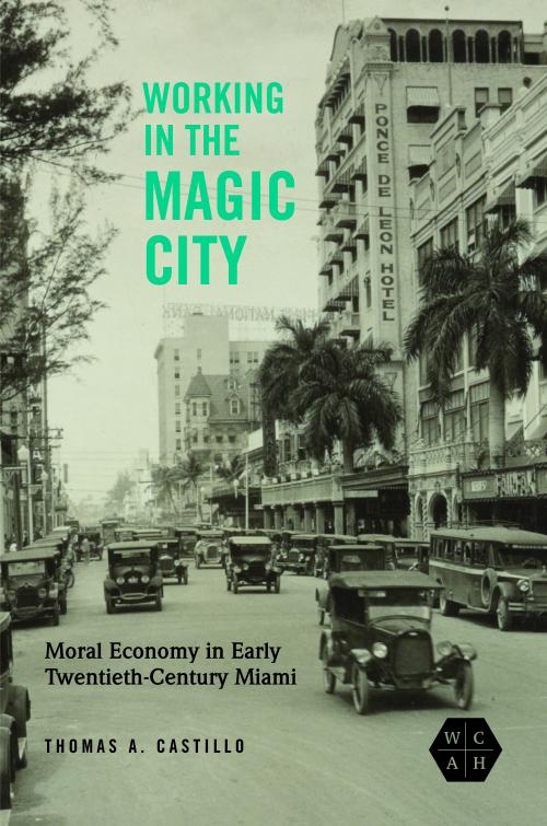 Working in the Magic City cover