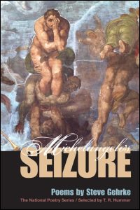 Michelangelo's Seizure cover