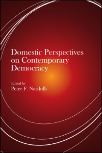 Domestic Perspectives on Contemporary Democracy cover