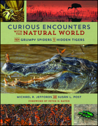 Curious Encounters with the Natural World cover