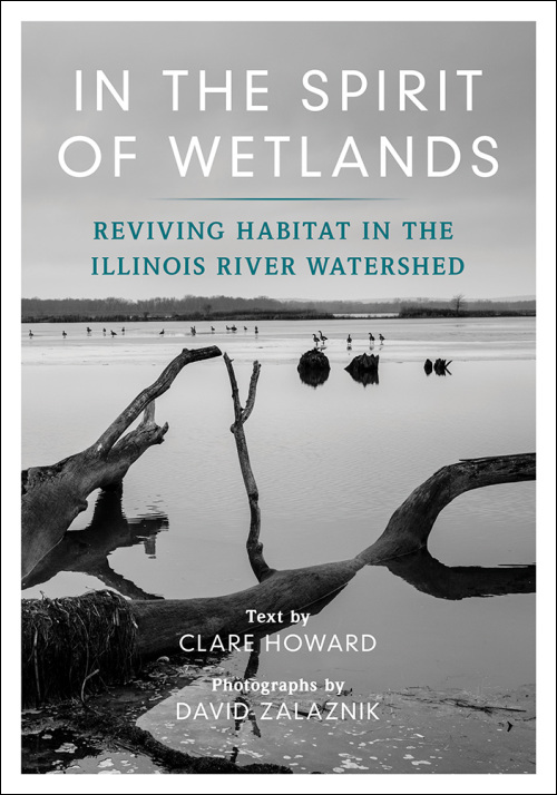 In the Spirit of Wetlands cover