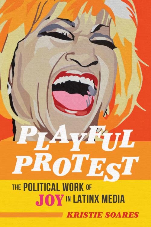 Playful Protest cover