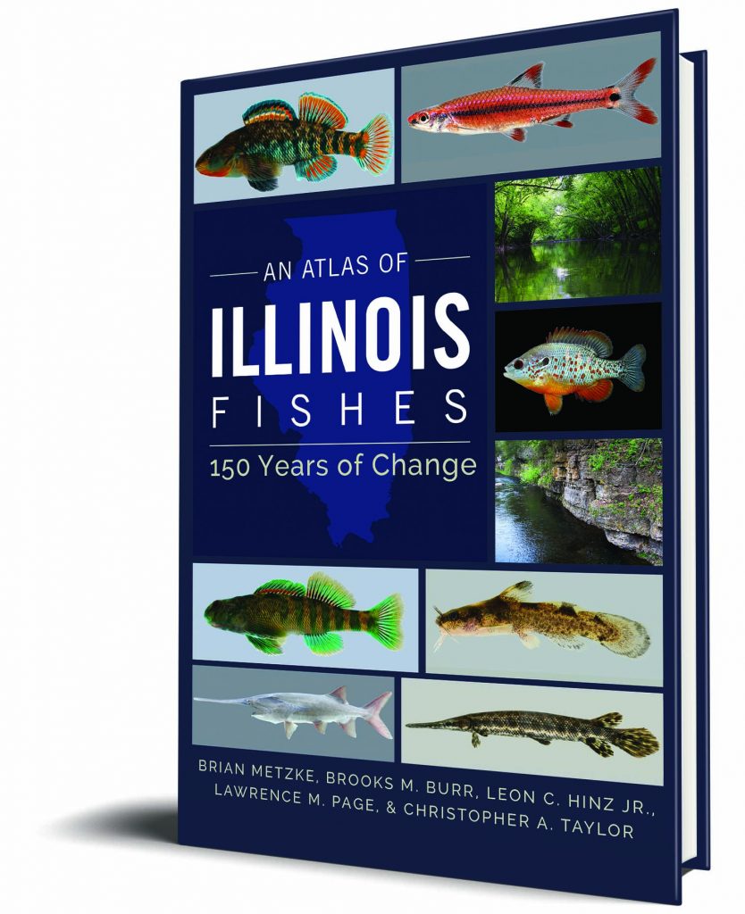 Fish Friday with the Rainbow Smelt - Illinois Press Blog