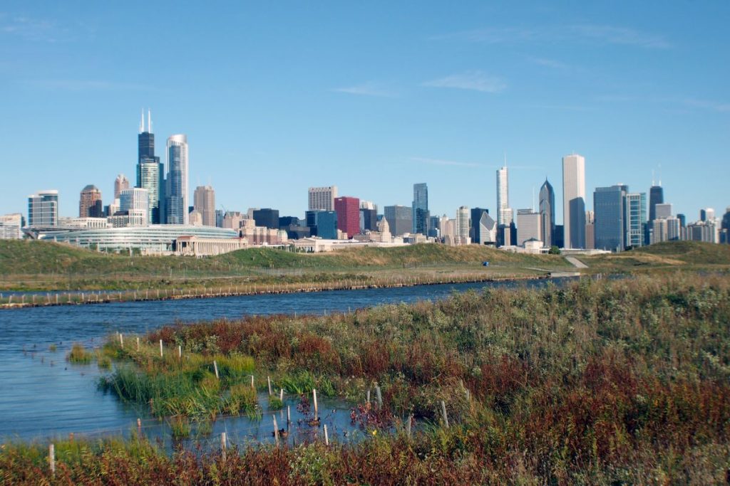 A photo showing the view from Northerly Island. The foreground features brown, red, green, and yellow prairie next to a winding waterway. The city skyline stands in the distance.