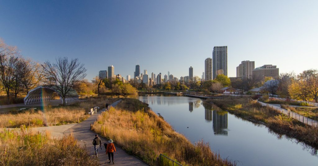 A photo of the Nature Boardwalk at Chicago's Lincoln Park Zoo on a clear autumn day. People walk through tall brown-gold grass next to a long pond. The city skyline stands in the distance.