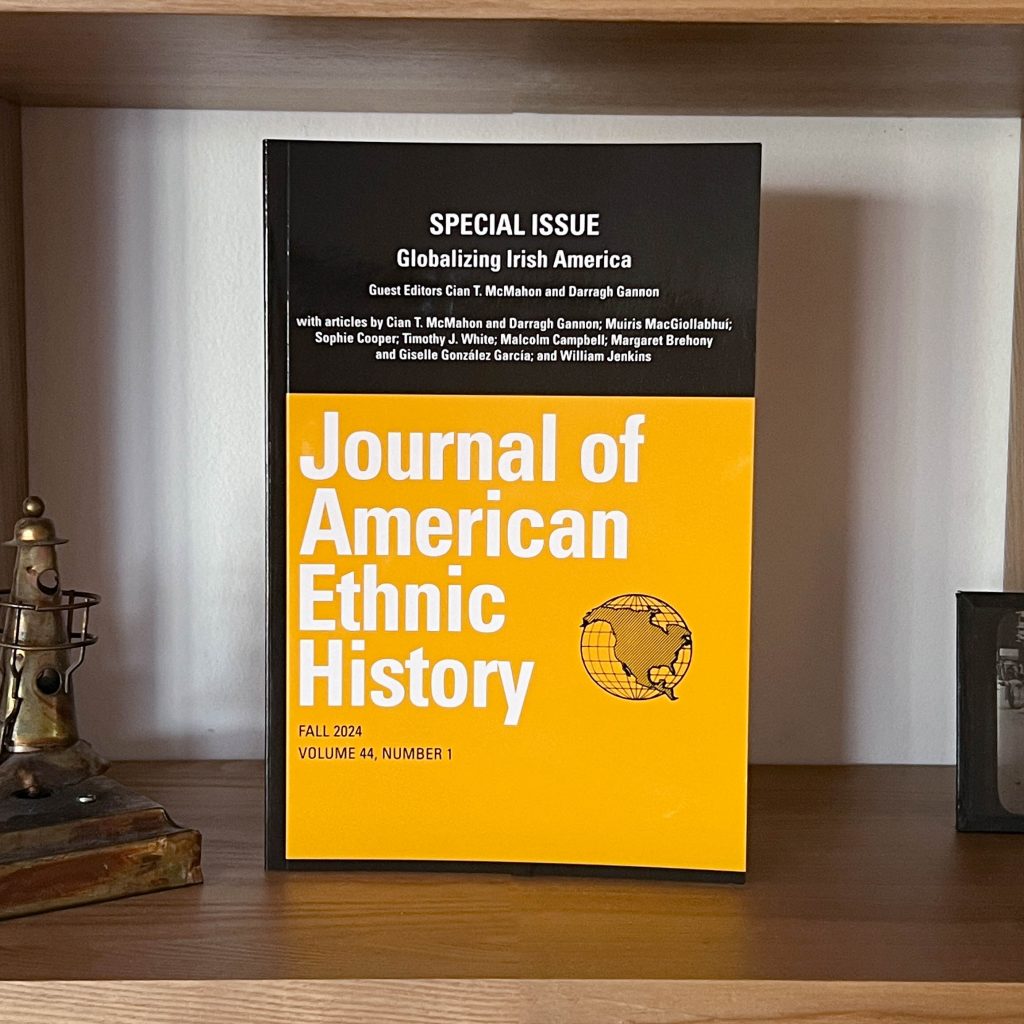 Copy of Journal of American Ethnic History standing on a shelf in front of a white wall